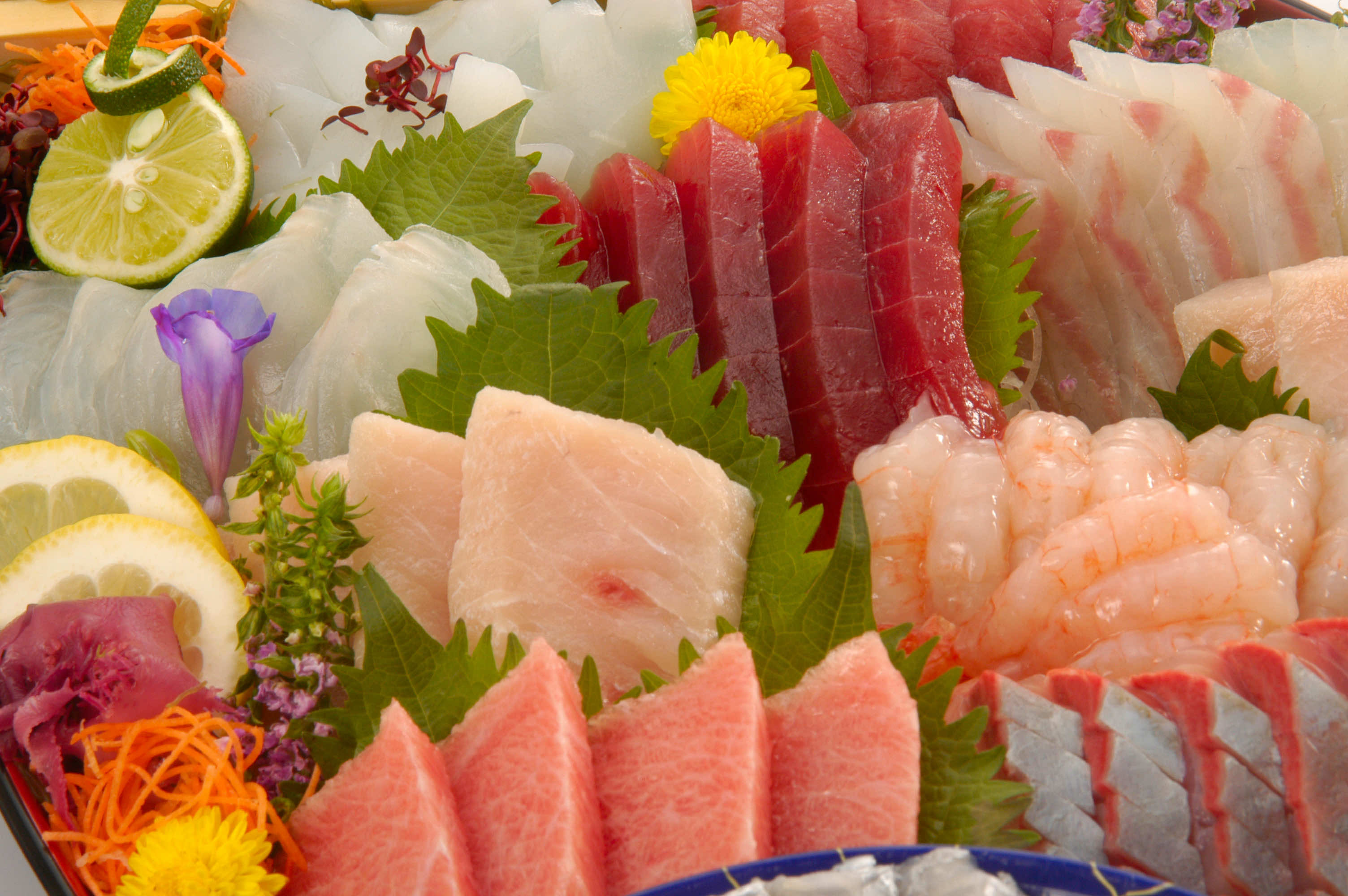 【平日限定】海鮮食べ尽くしプラン